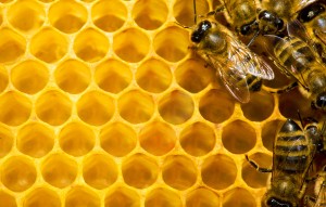 Leveraging the Honeycomb and Swarming Capabilities Credit: Bigstock 