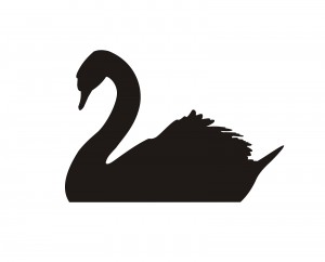 When a Swan Comes - Second Line of Defense